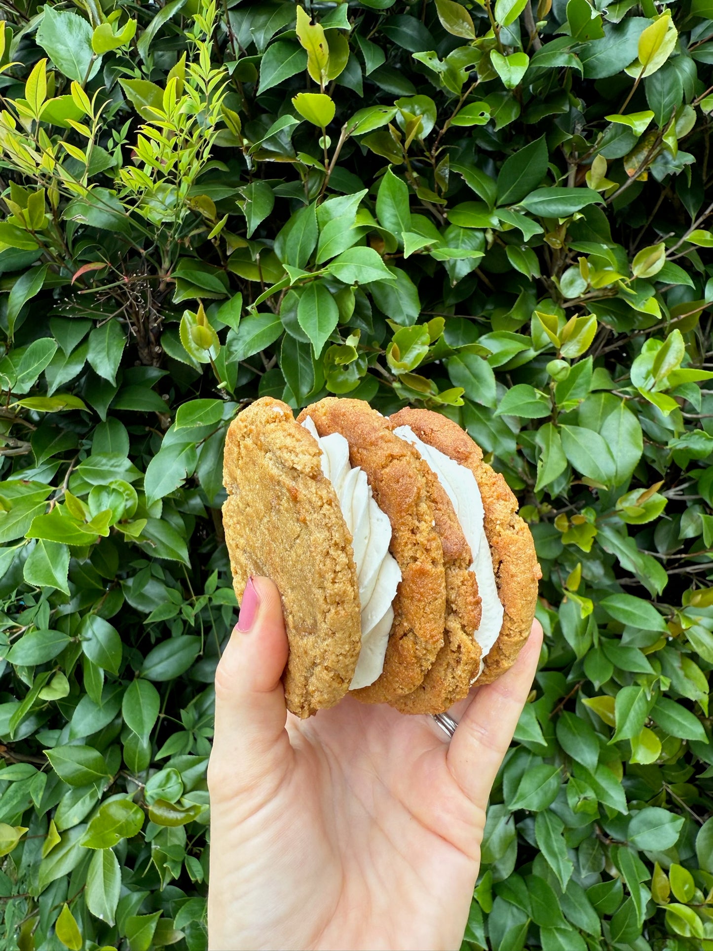 Oatmeal Cream Sandwich Cookies - 12 pc WS