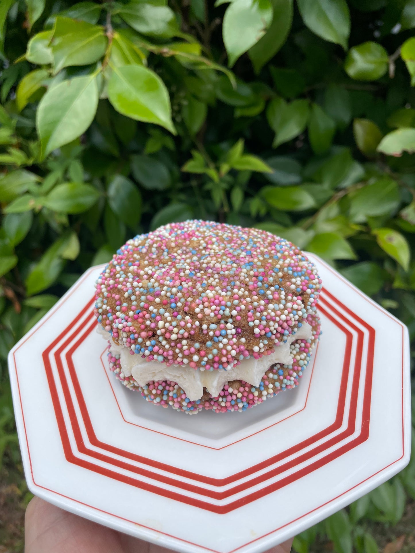 Lactation Cookie Sandwich Cookie - Birthday Cake