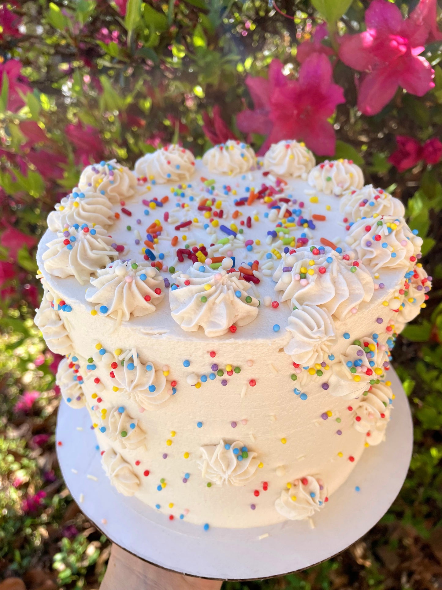 Sprinkle Cake