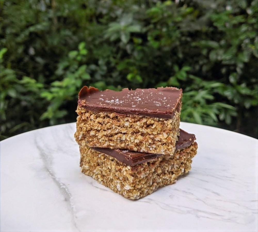 Chocolate Peanut Butter Lactation Bliss Bars
