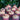Berry-fetti Crumble Cupcakes - doz.