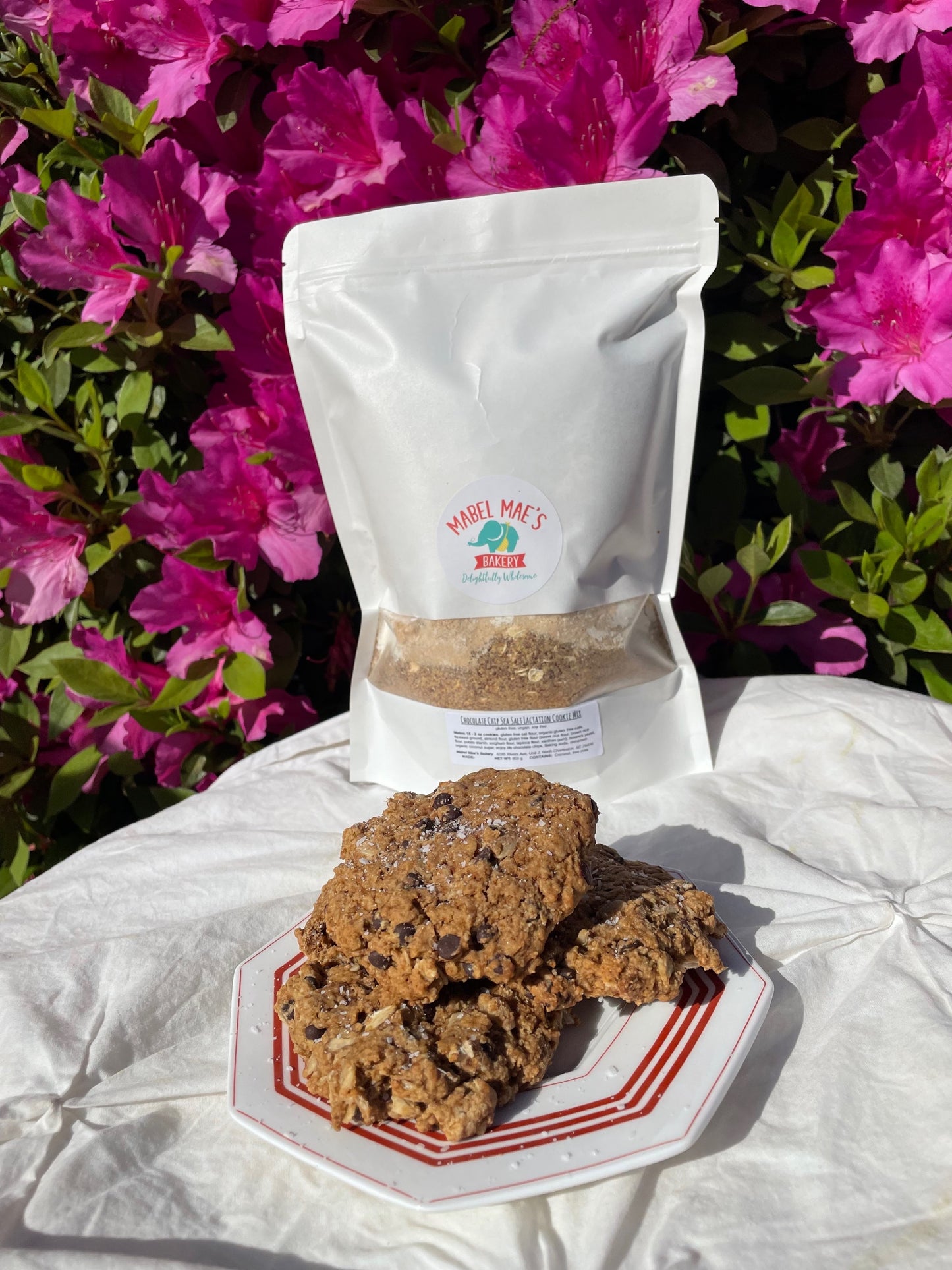 Lactation Cookie Mix - chocolate chip sea salt.  - 12 pc WS