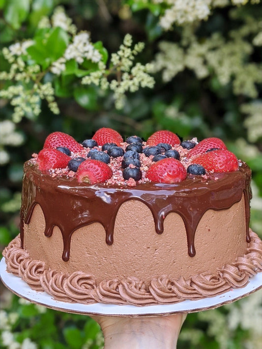 Chocolate Frosted Cake